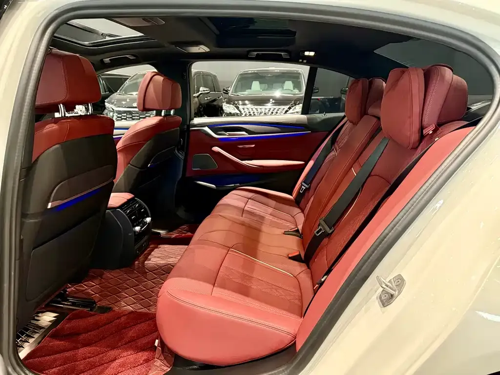 BMW 5 Series 2023 из CN, фото 5