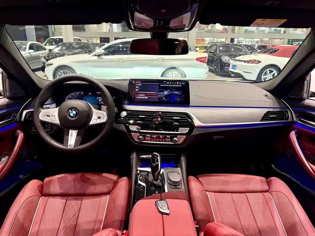 BMW 5 Series 2023 из CN, фото 9