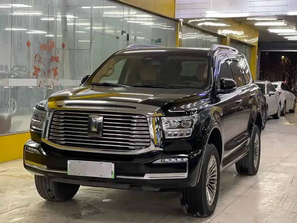 Tank 500 New Energy 2024 из CN, фото 1
