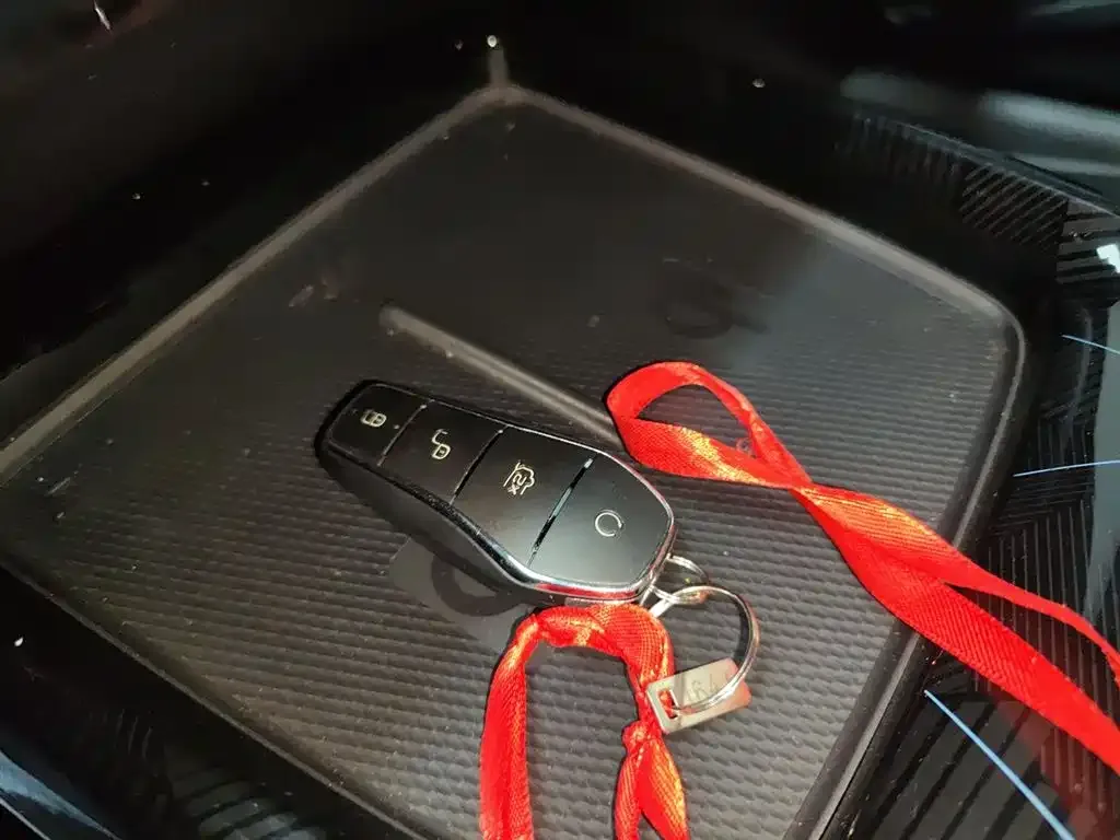 BYD Seal 2023 из CN, фото 8