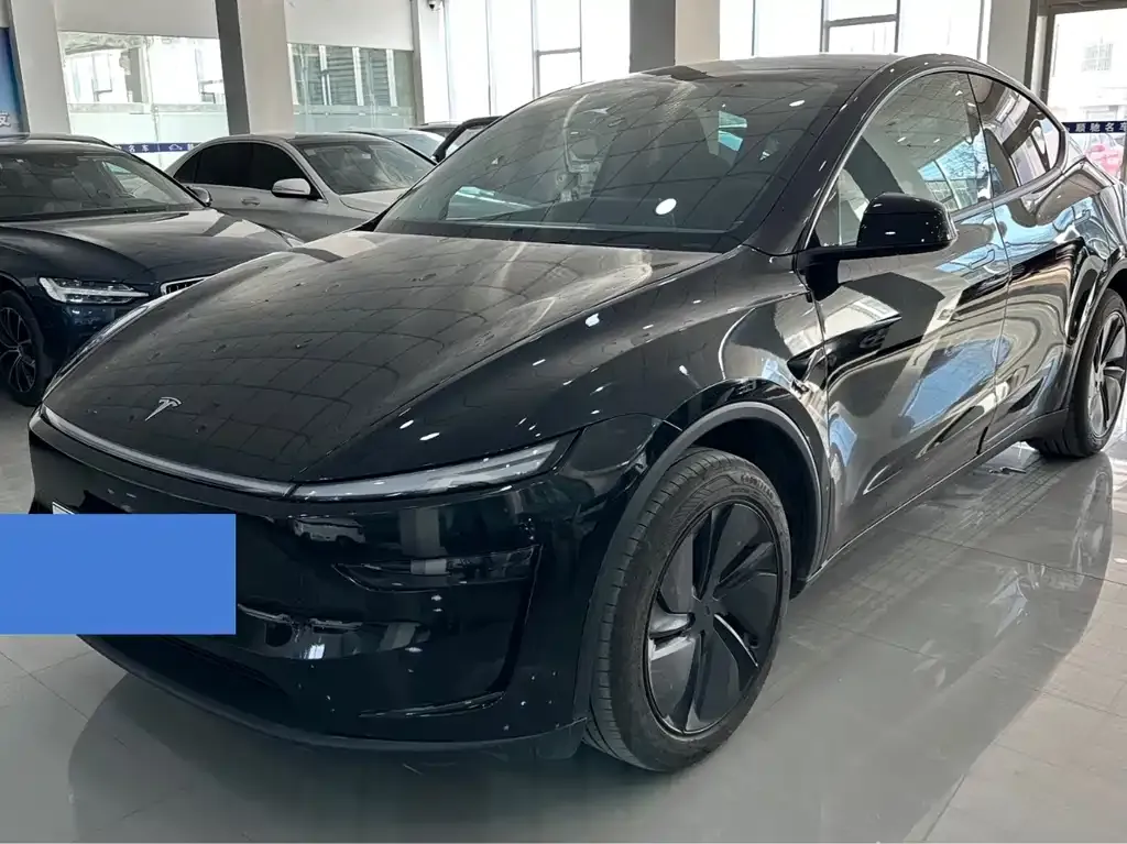 Tesla Model Y 2025 из CN, фото 9