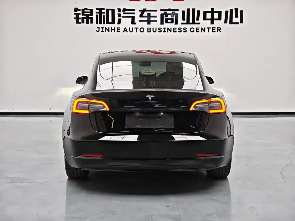 Tesla Model 3 2022 из CN, фото 3