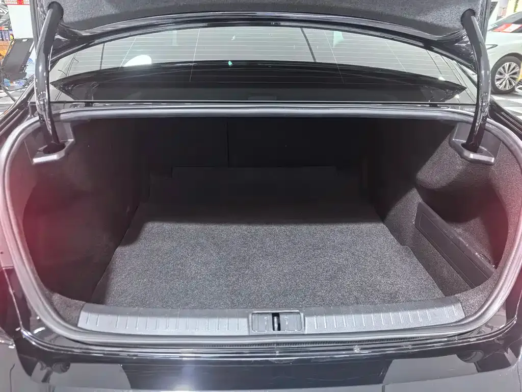 Volkswagen Magotan 2023 из CN, фото 5