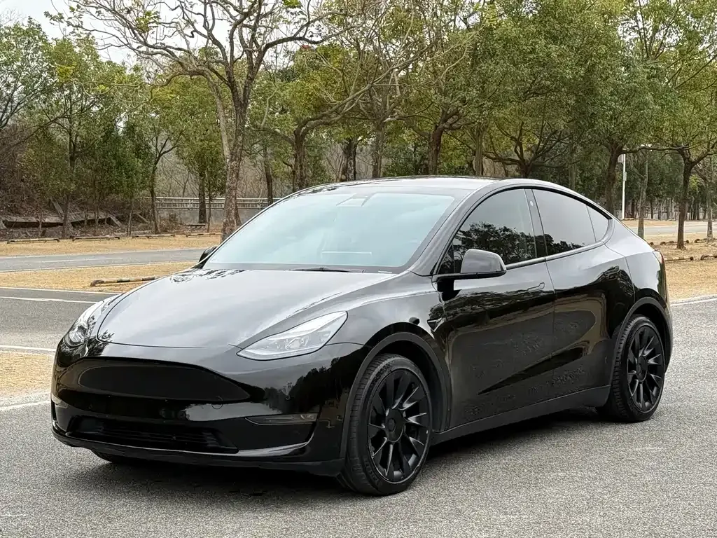 Tesla Model Y 2022 из CN, фото 1