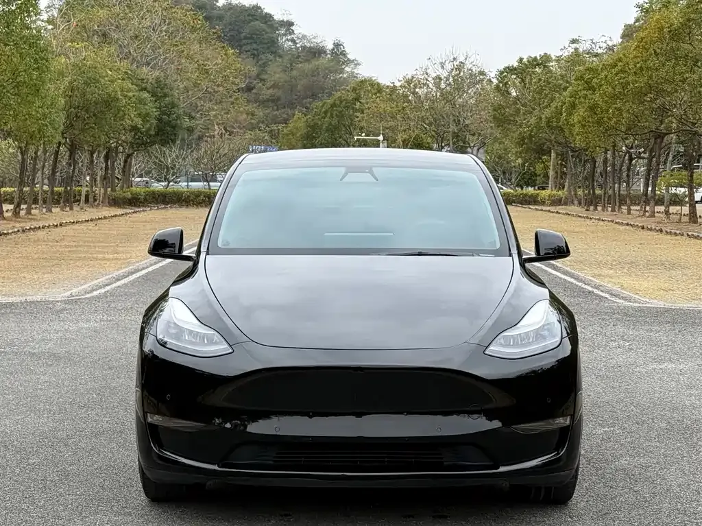 Tesla Model Y 2022 из CN, фото 3