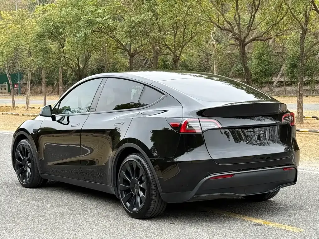 Tesla Model Y 2022 из CN, фото 5