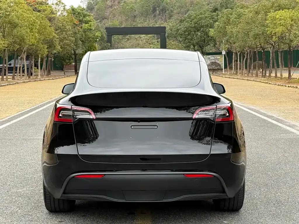 Tesla Model Y 2022 из CN, фото 6