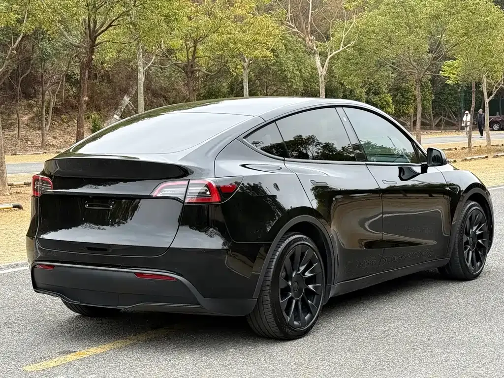 Tesla Model Y 2022 из CN, фото 9