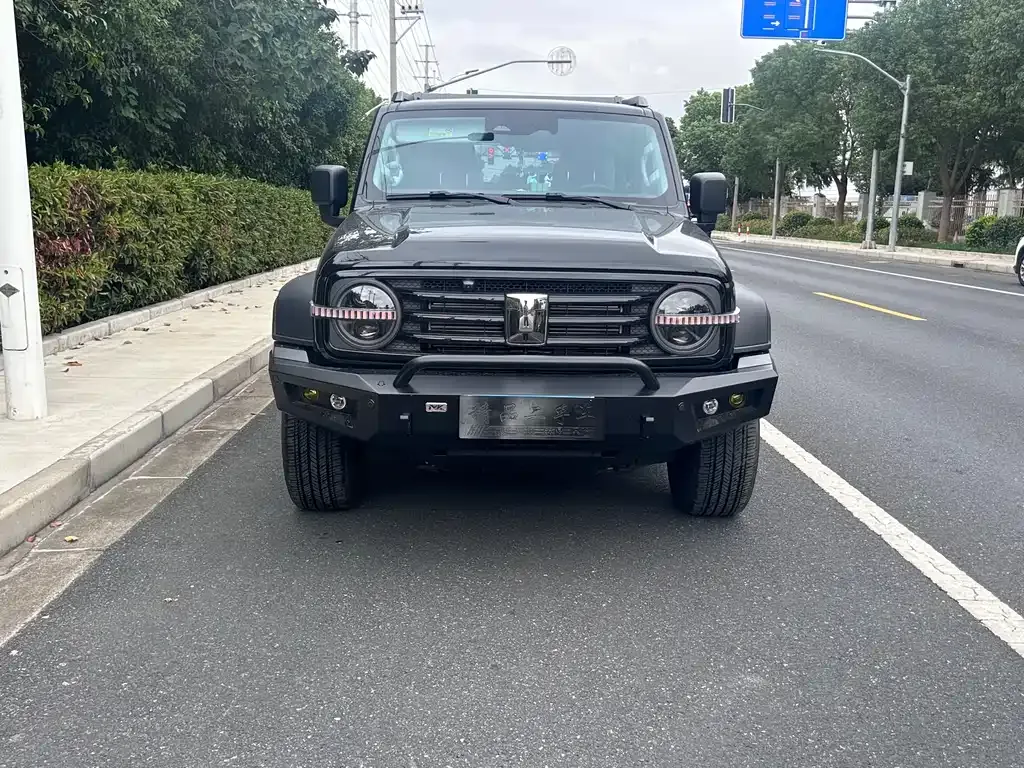 Tank 300 2024 из CN, фото 7