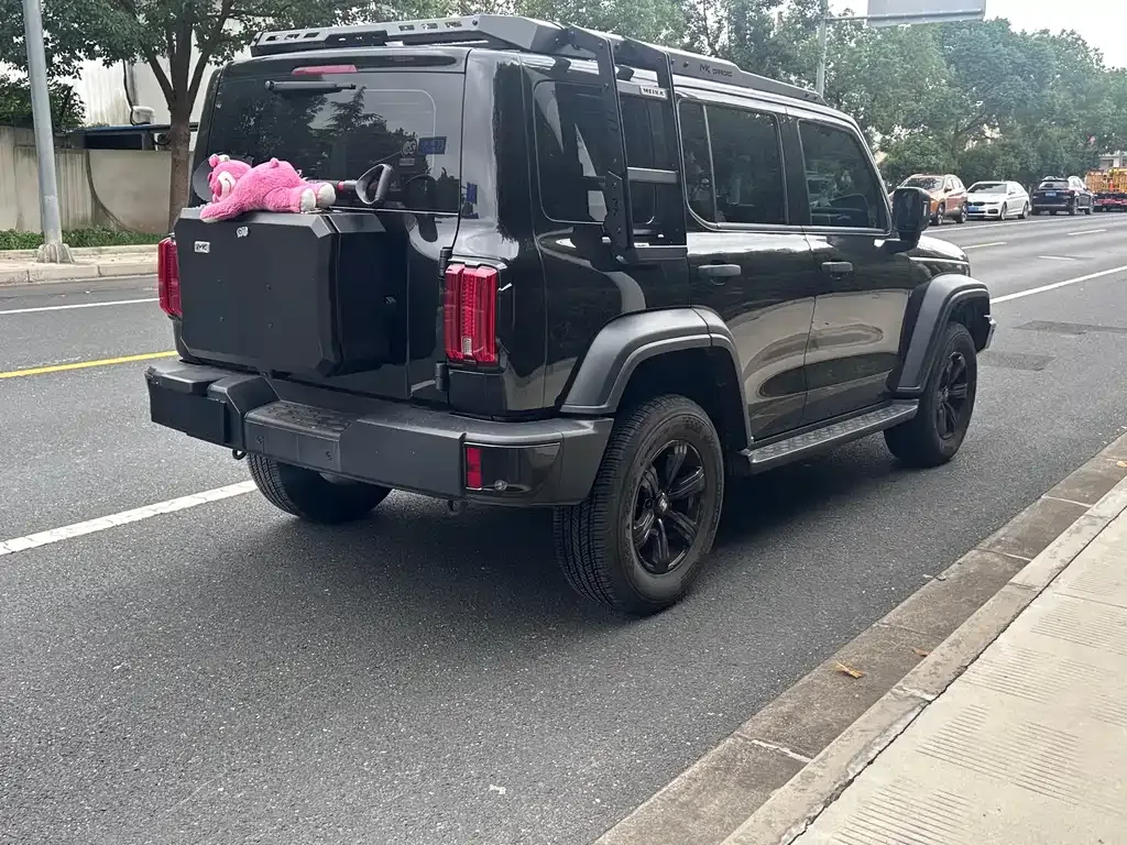 Tank 300 2024 из CN, фото 10