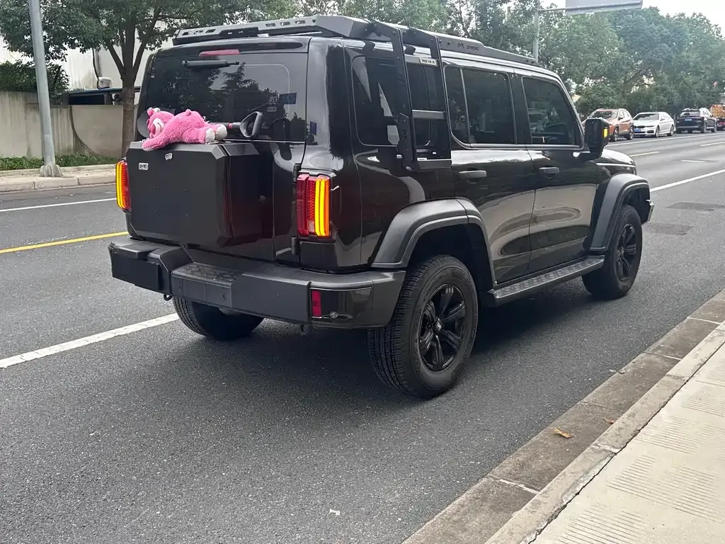 Tank 300 2024 из CN, фото 9