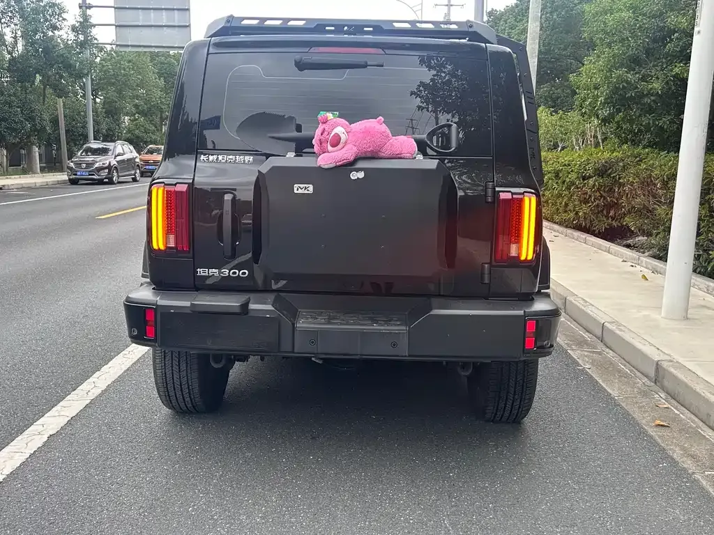 Tank 300 2024 из CN, фото 8