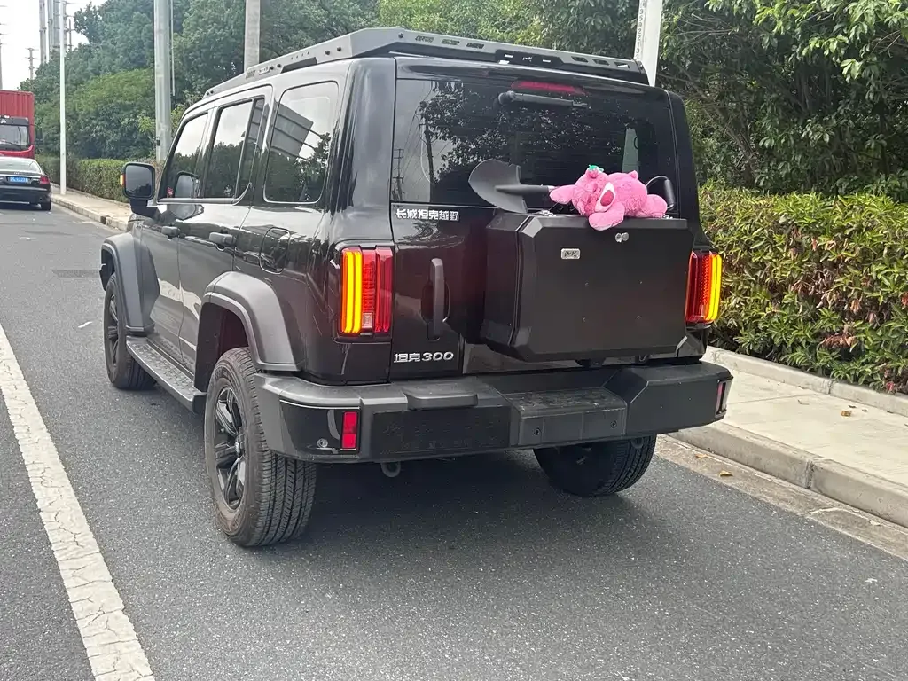 Tank 300 2024 из CN, фото 5