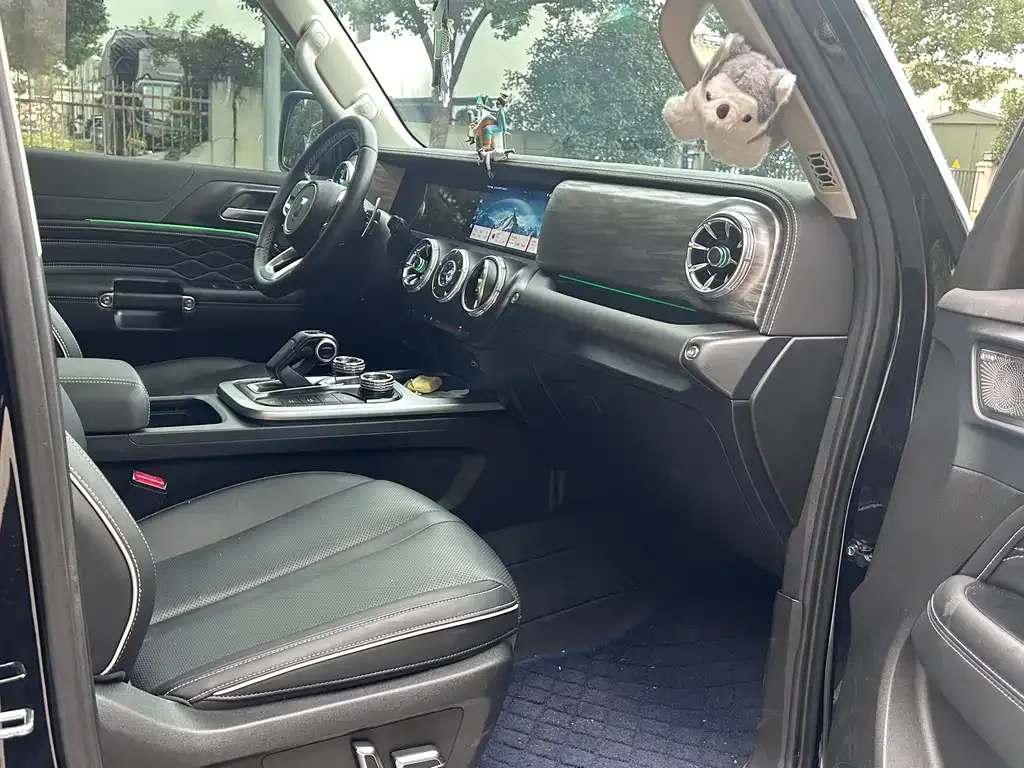 Tank 300 2024 из CN, фото 4