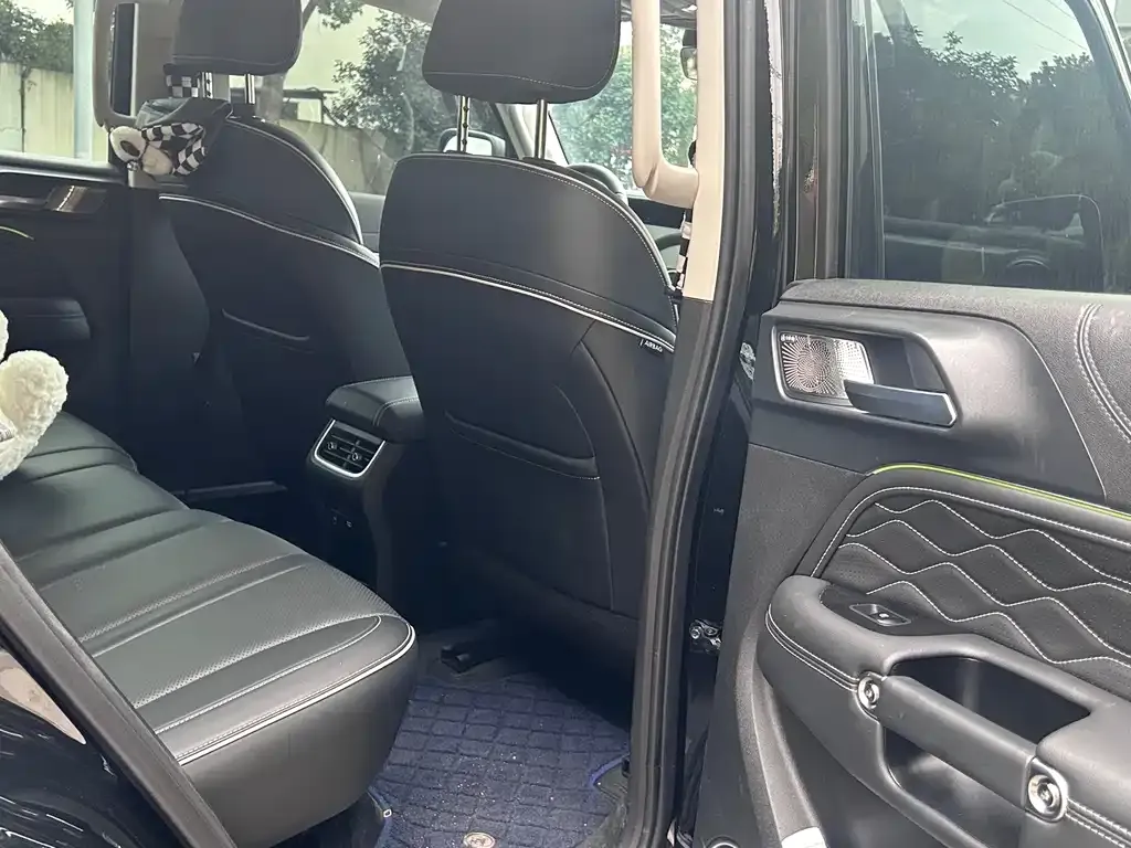 Tank 300 2024 из CN, фото 2