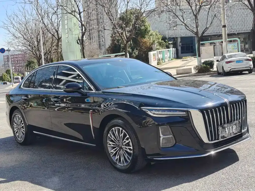Hongqi H5 2023 из CN, фото 8
