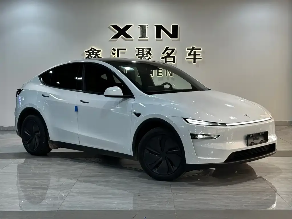 Tesla Model Y 2026 из CN, фото 6