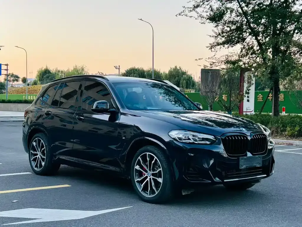 BMW X3 — фото 1
