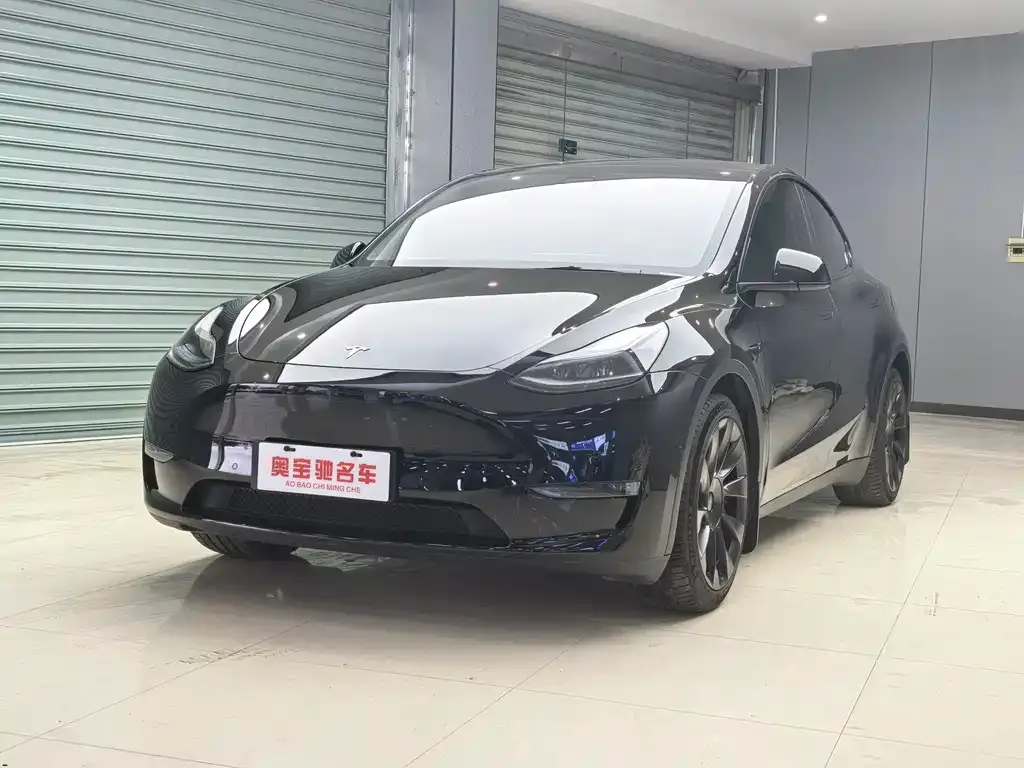 Tesla Model Y 2021 из CN, фото 1