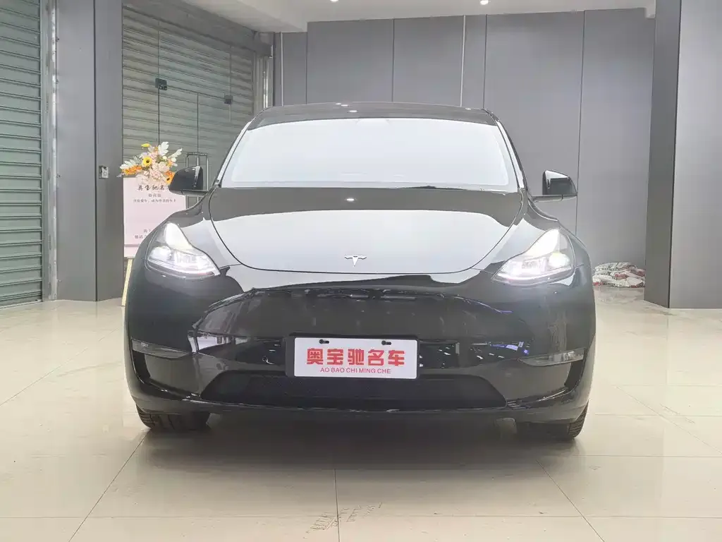 Tesla Model Y 2021 из CN, фото 2