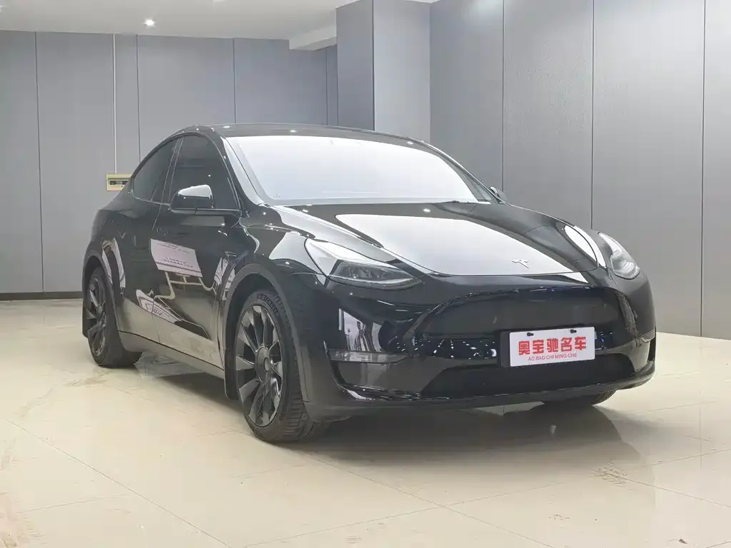 Tesla Model Y 2021 из CN, фото 3