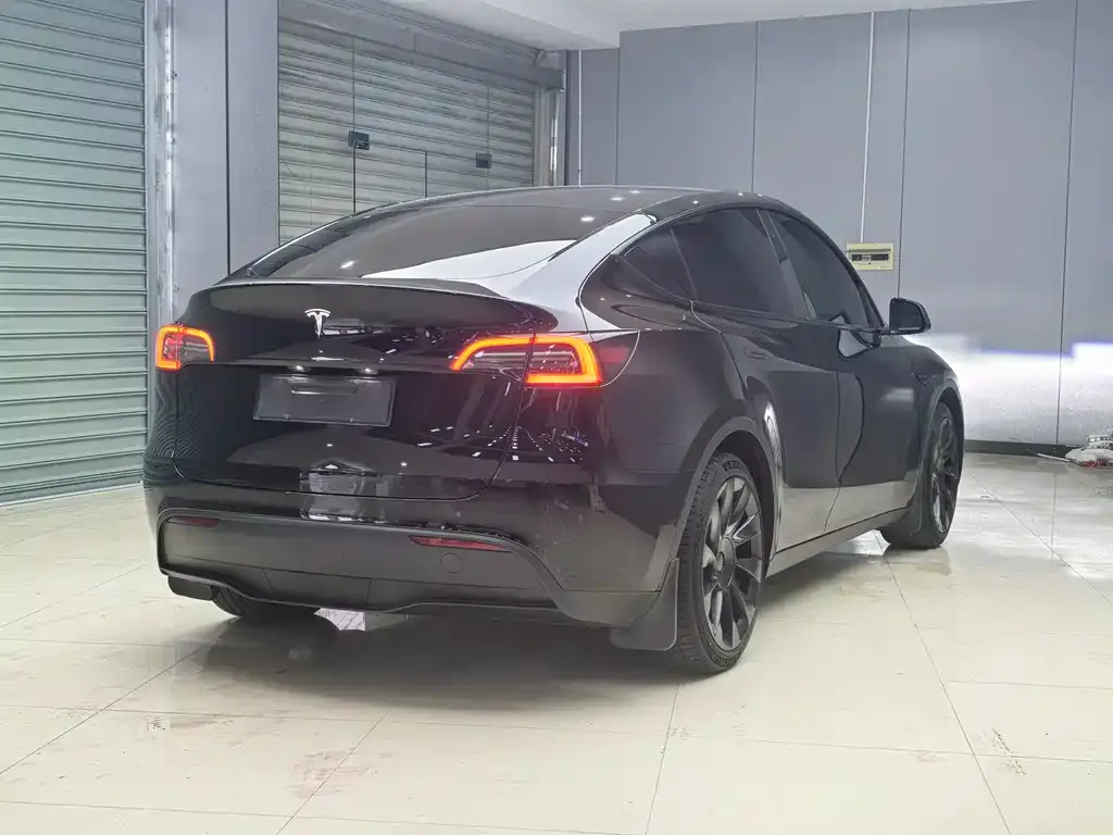 Tesla Model Y 2021 из CN, фото 4