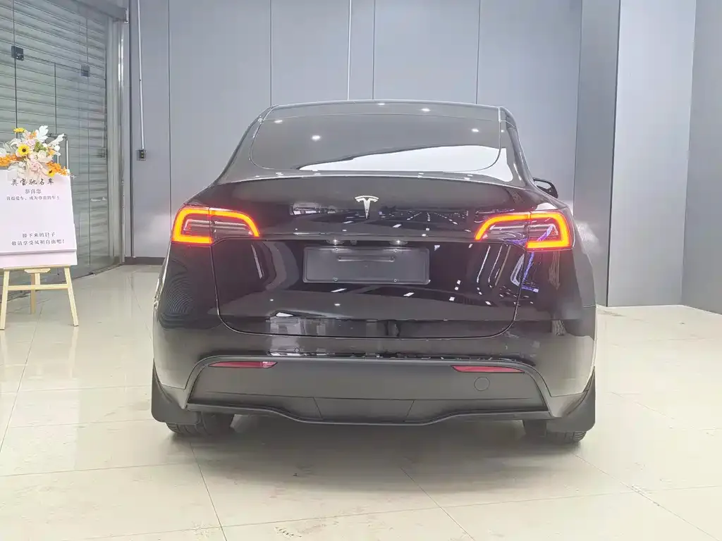 Tesla Model Y 2021 из CN, фото 5