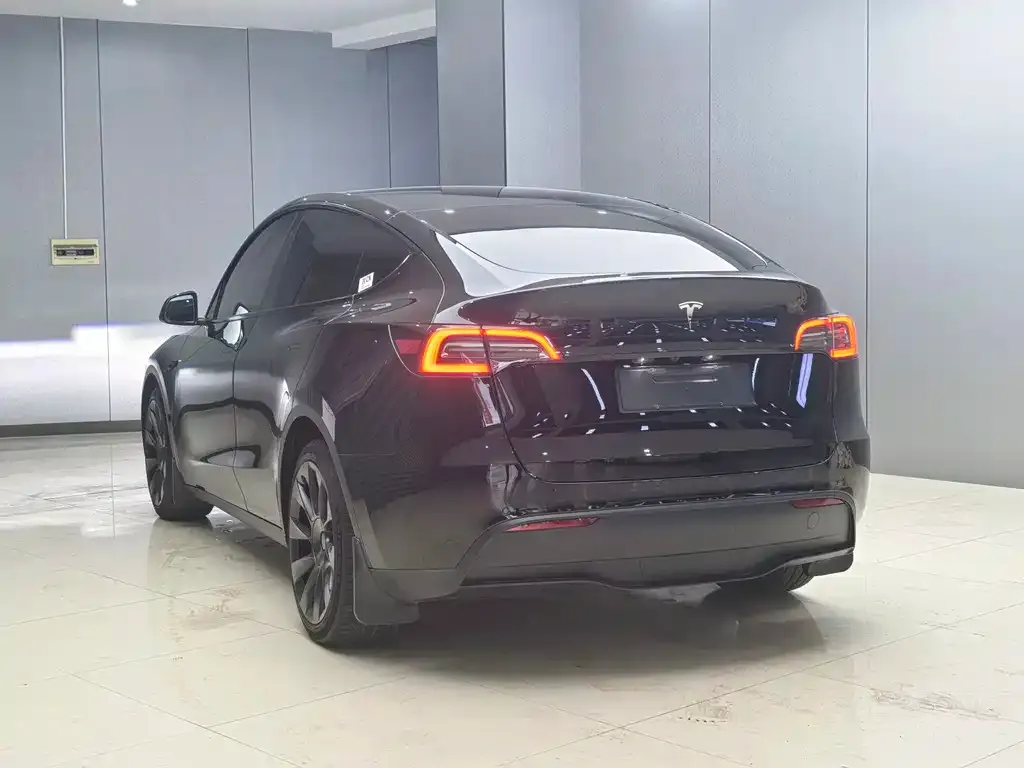 Tesla Model Y 2021 из CN, фото 6