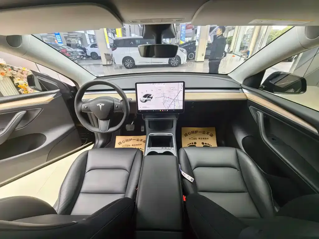 Tesla Model Y 2021 из CN, фото 10