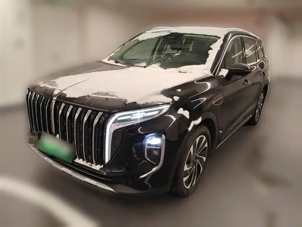 Hongqi HS7 PHEV 2024 из CN, фото 10
