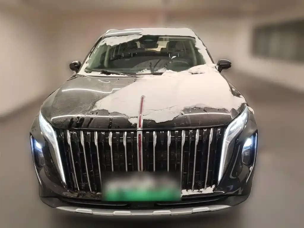 Hongqi HS7 PHEV 2024 из CN, фото 2