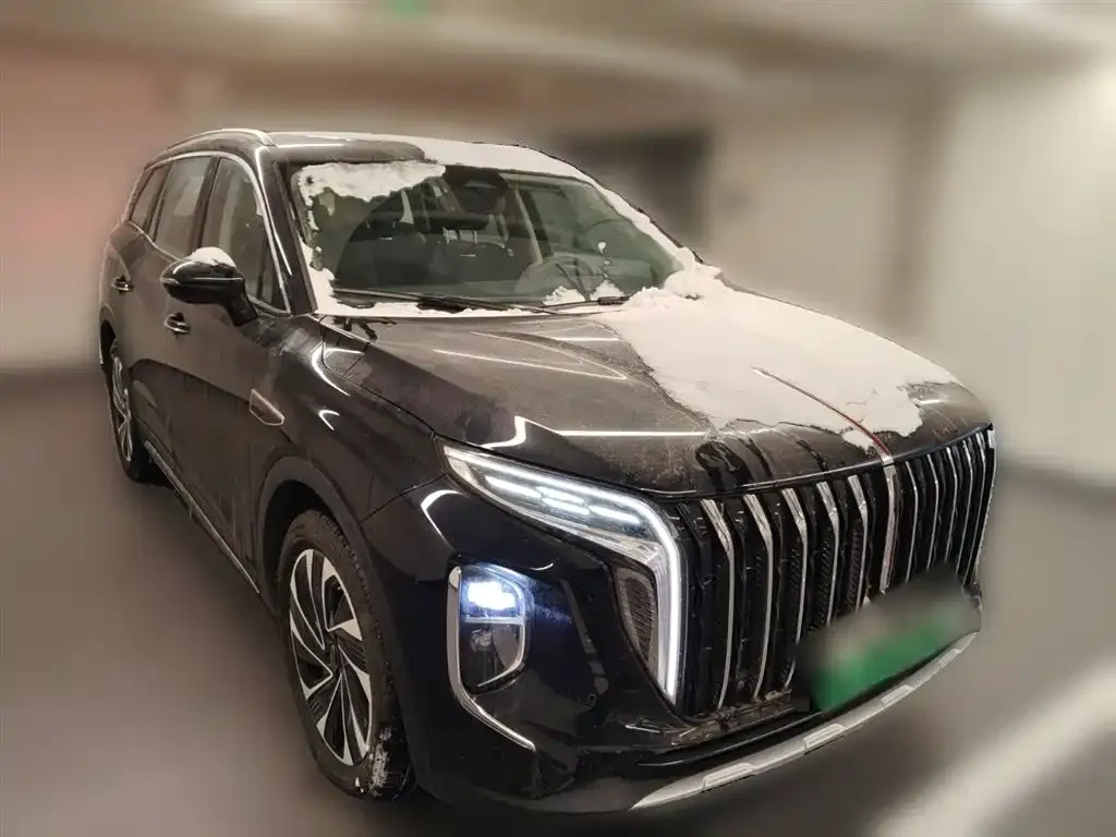 Hongqi HS7 PHEV 2024 из CN, фото 7