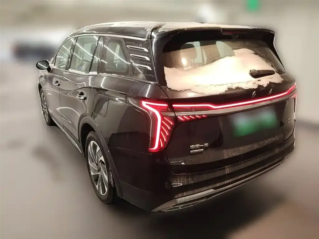 Hongqi HS7 PHEV 2024 из CN, фото 8
