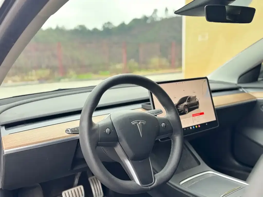 Tesla Model 3 2022 из CN, фото 5