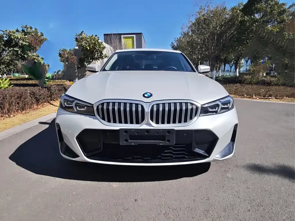 BMW 3 Series 2024 из CN, фото 8