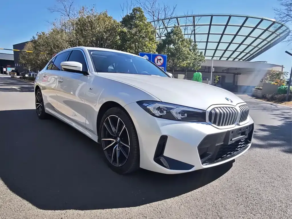 BMW 3 Series 2024 из CN, фото 6