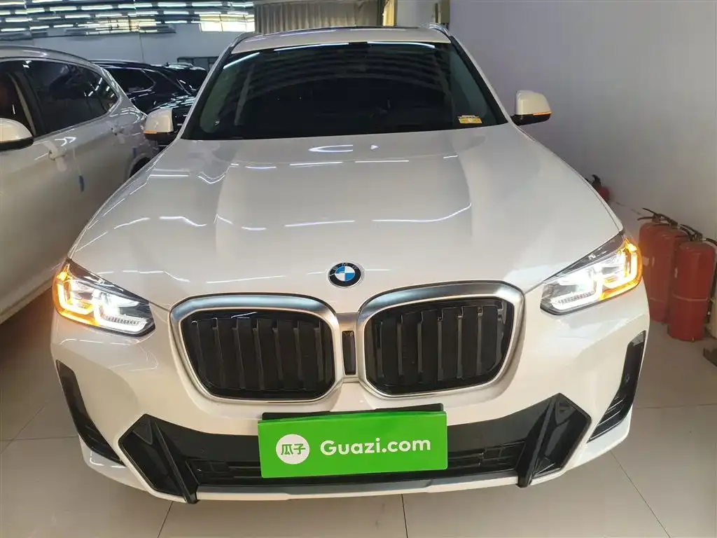 BMW X3 2022 из CN, фото 9