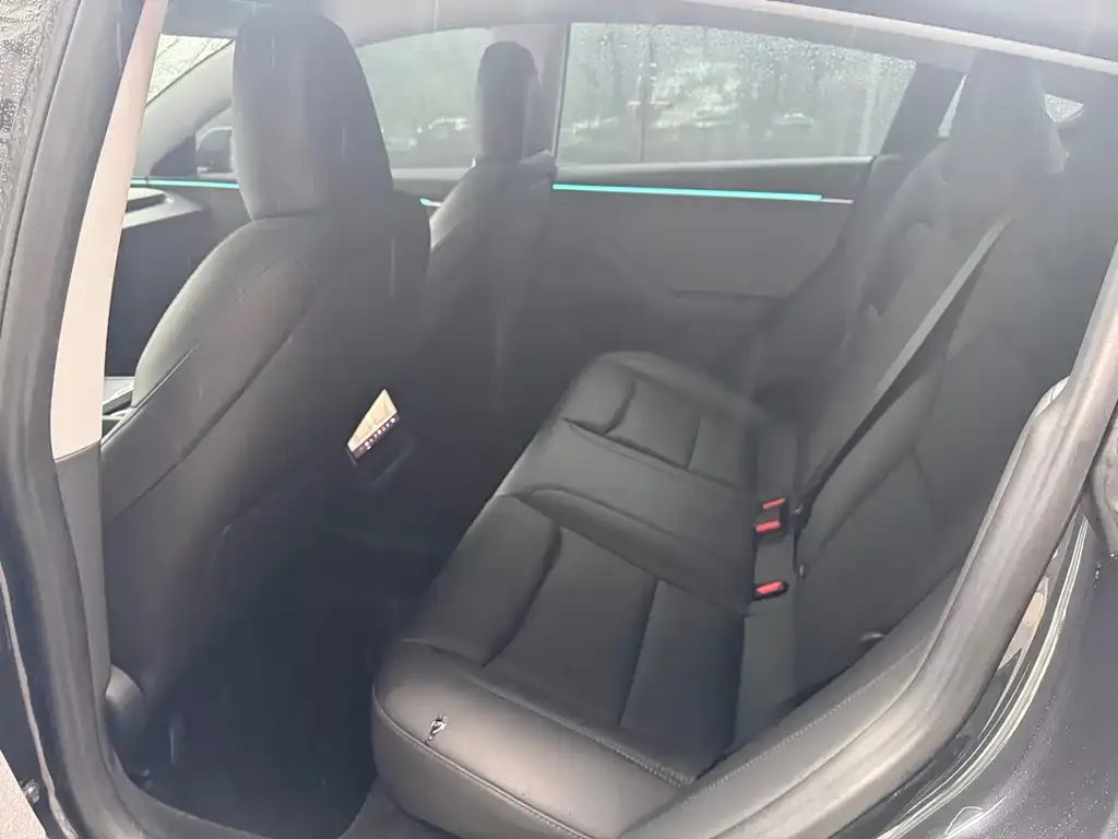 Tesla Model 3 2023 из CN, фото 2