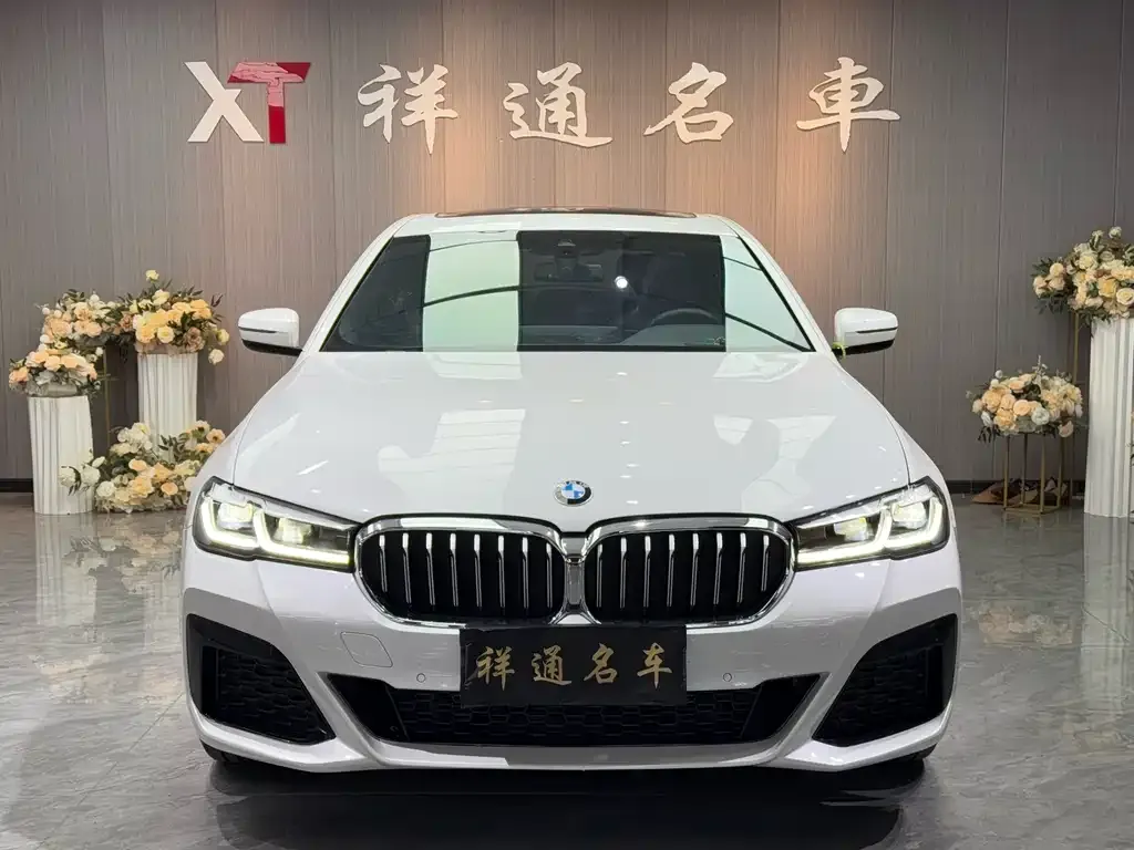 BMW 5 Series 2023 из CN, фото 10