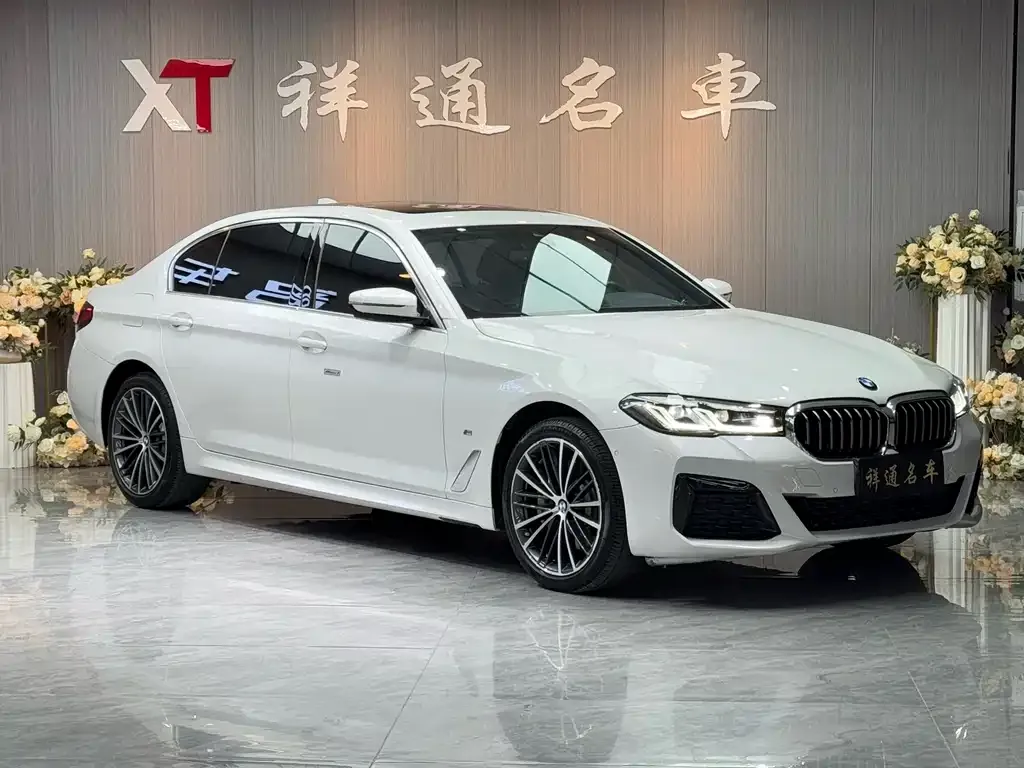 BMW 5 Series 2023 из CN, фото 9