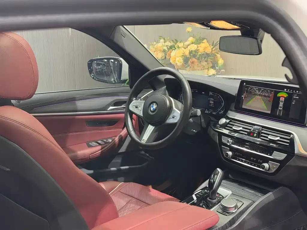 BMW 5 Series 2023 из CN, фото 7