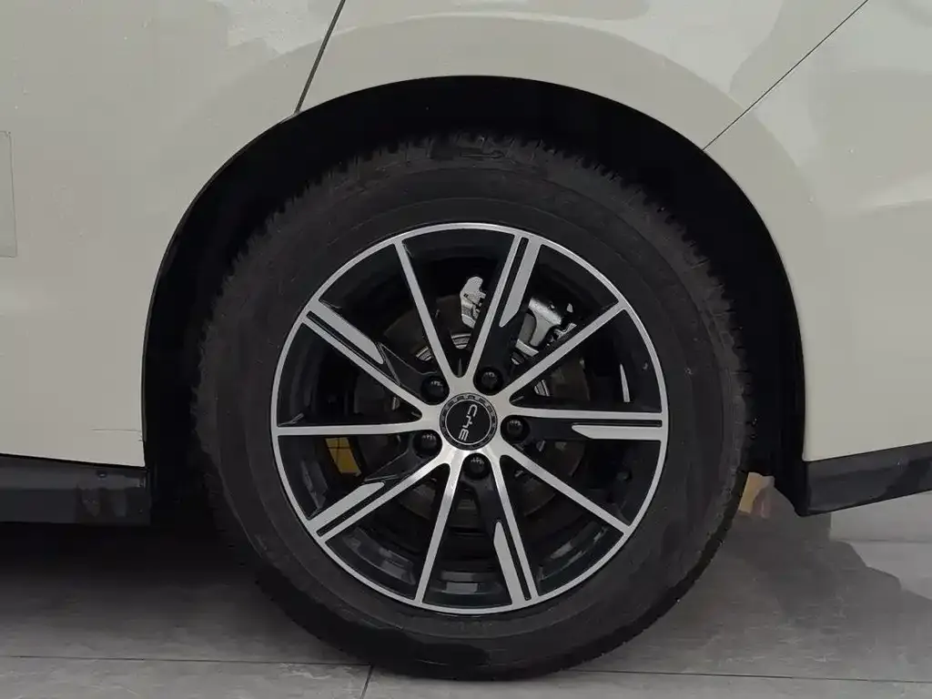 BYD Seal 06 2025 из CN, фото 4