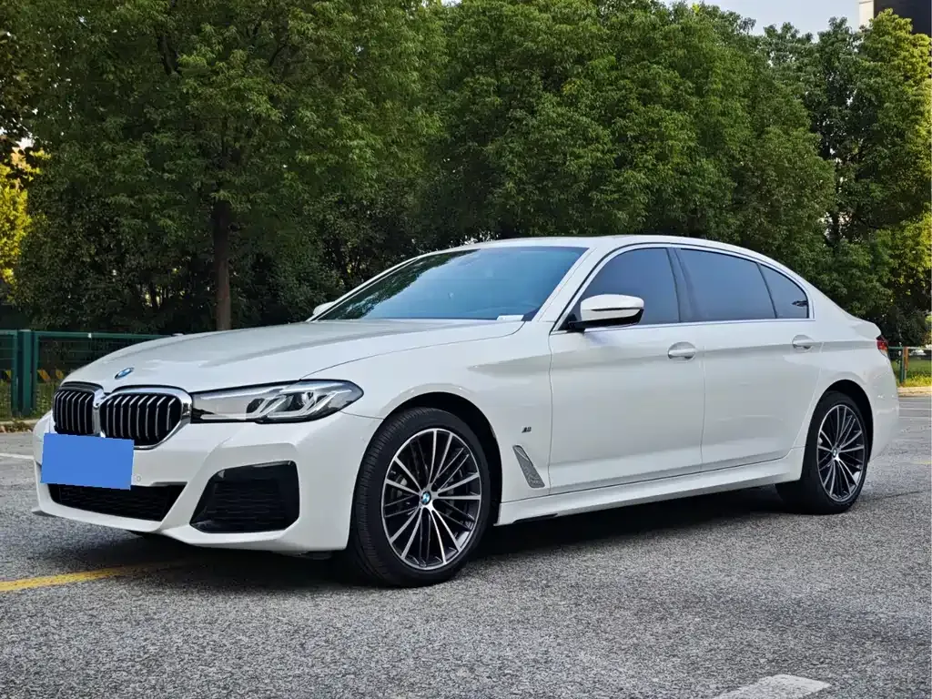 BMW 5 Series 2021 из CN, фото 1
