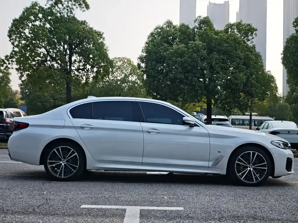 BMW 5 Series 2021 из CN, фото 7