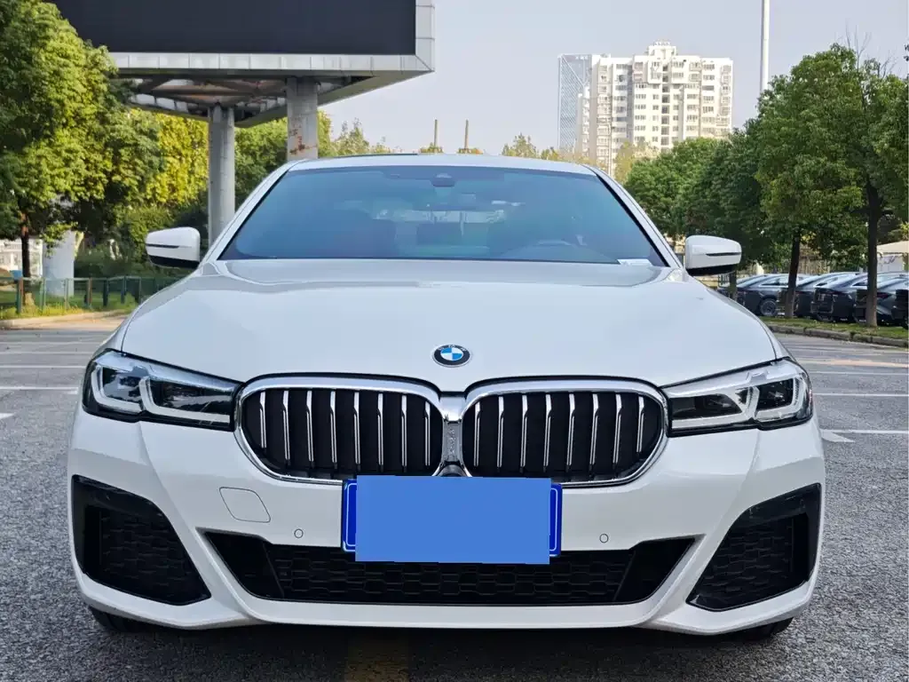 BMW 5 Series 2021 из CN, фото 8
