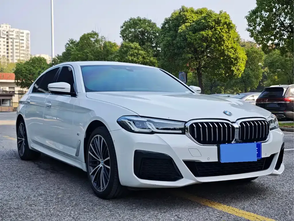 BMW 5 Series 2021 из CN, фото 10