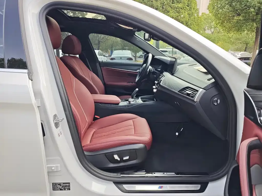 BMW 5 Series 2021 из CN, фото 4