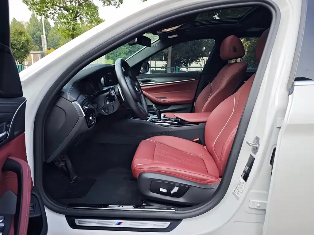 BMW 5 Series 2021 из CN, фото 3