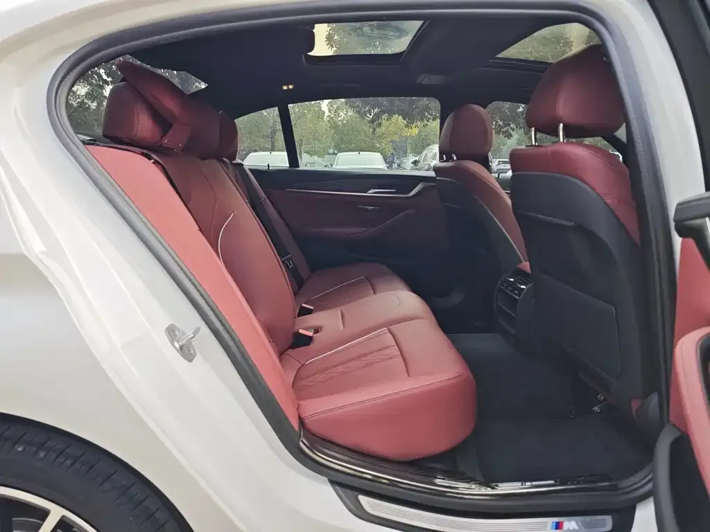 BMW 5 Series 2021 из CN, фото 2