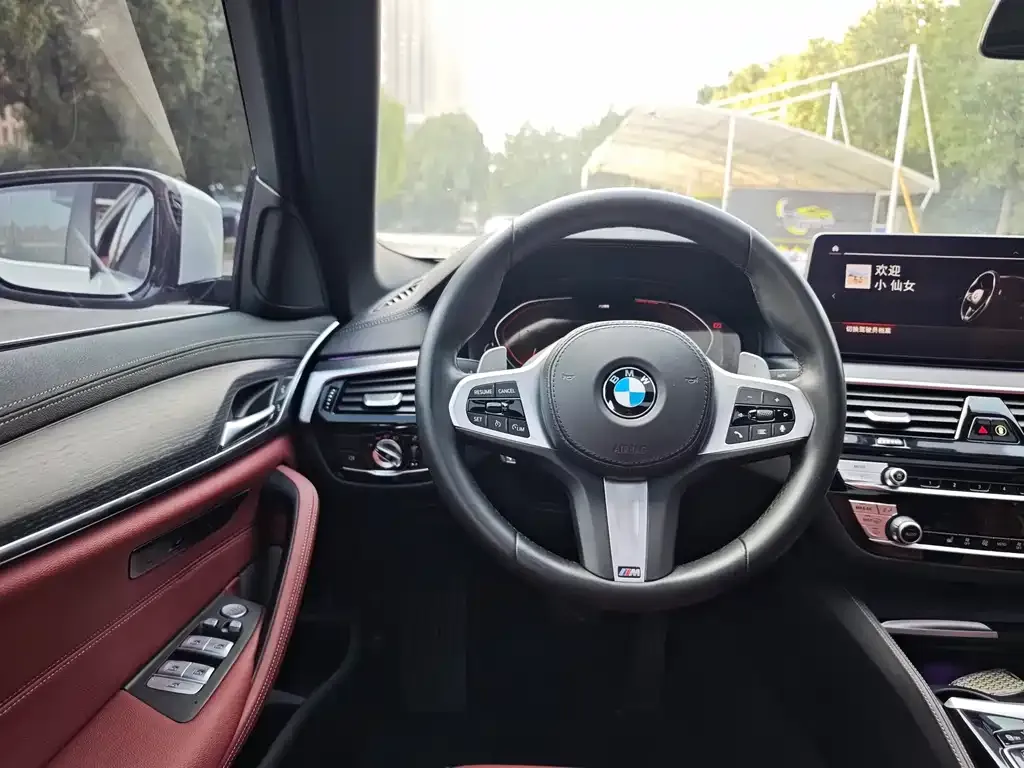 BMW 5 Series 2021 из CN, фото 9
